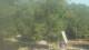 Fairview, Tennessee 12.07.2025 10:10