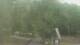 Fairview, Tennessee 29.04.2025 10:10
