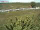 Fehmarn 22.04.2025 10:58