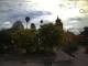 Bernal 01.07.2025 10:57