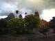 Bernal 02.07.2025 10:57