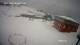 Nuuk 08.05.2025 10:58