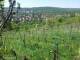 Feuerbach 30.04.2025 10:58