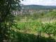Feuerbach 12.07.2025 10:58