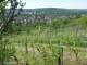 Feuerbach 22.04.2025 10:58