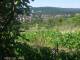 Feuerbach 12.07.2025 10:58