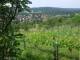 Feuerbach 08.06.2025 10:58