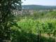 Feuerbach 12.06.2025 10:58