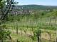 Feuerbach 10.05.2025 10:58