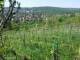 Feuerbach 29.04.2025 10:58