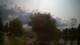 Uetersen 08.06.2025 10:58