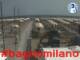 Cesenatico 09.06.2025 10:47