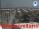 Cesenatico 10.06.2025 10:47