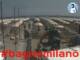 Cesenatico 14.06.2025 10:47