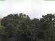 Parkstein 15.07.2025 10:08