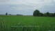 't Zandt 15.06.2025 10:58