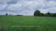 't Zandt 09.06.2025 10:58