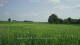 't Zandt 15.06.2025 10:58