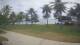 Malolo Lailai 12.07.2025 10:58