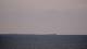 Saint-Gildas-de-Rhuys 06.05.2026 10:08