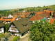 Sasbachwald 11.05.2025 10:47