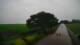 Schwinge 08.06.2025 10:59