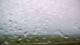 Punta Gorda, Florida 16.05.2025 10:59