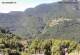 Monte Finonchio 09.07.2025 10:47