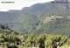 Monte Finonchio 15.07.2025 10:48