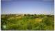 Torrevecchia Teatina 03.07.2025 10:59