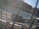 Boston, Massachusetts 11.05.2025 10:59