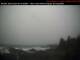 Ucluelet 08.03.2025 10:00