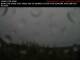 Prince Rupert 30.04.2025 10:00