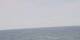 AIDAmar 15.06.2025 10:00