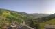 Hinterglemm 15.06.2025 10:01