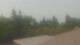 Medina, Washington 04.08.2026 10:16