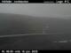 Hálfdán 14.06.2025 10:02