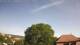 Bad Frankenhausen 30.04.2025 10:03