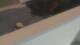 Colorado Springs, Colorado 21.04.2025 10:19