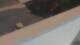 Colorado Springs, Colorado 29.04.2025 10:19