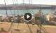 Portoferraio (Elba) 29.04.2025 10:04
