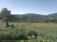 Cantalupo Ligure 08.07.2025 10:04