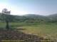 Cantalupo Ligure 30.04.2025 10:04