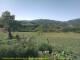 Cantalupo Ligure 08.07.2025 10:04