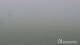 Brocken 08.06.2025 10:04
