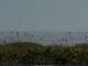 Cape Canaveral, Florida 08.07.2025 10:47