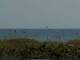 Cape Canaveral, Florida 10.07.2025 10:47