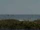 Cape Canaveral, Florida 10.07.2025 10:47