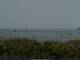 Cape Canaveral, Florida 09.06.2025 10:47