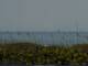 Cape Canaveral, Florida 20.05.2025 10:47